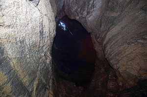 Fot. Maciej Kania