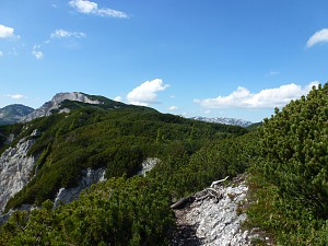 Droga zejściowa.