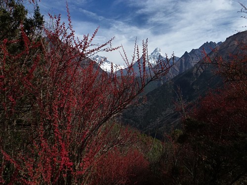 AMA DABLAM  - 6812 m npm