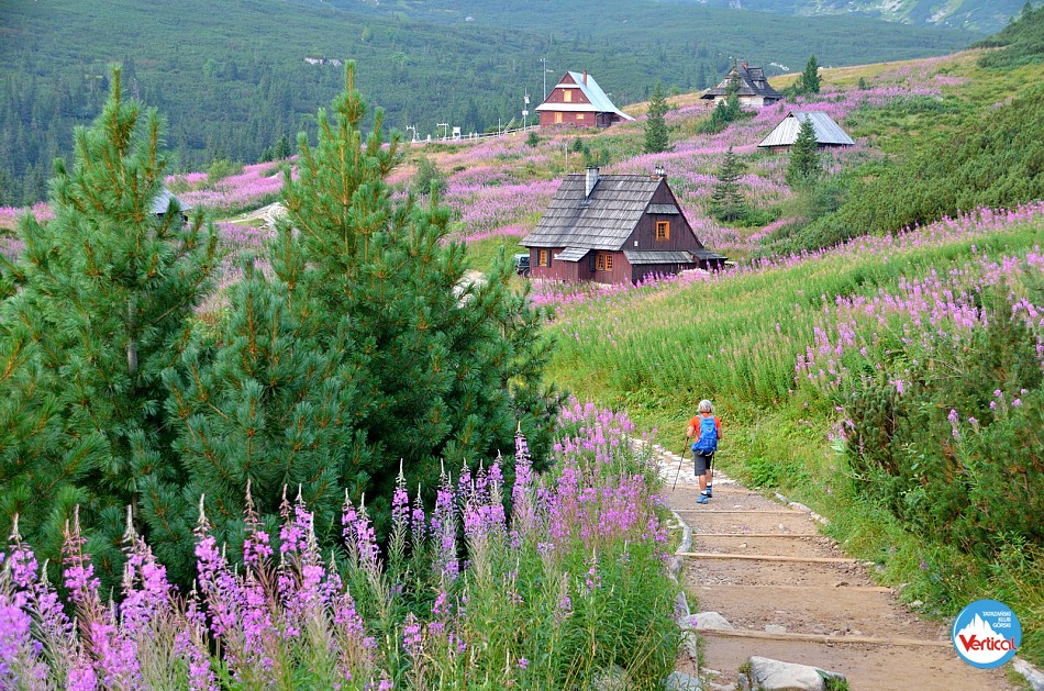 Grań Kościelc&oacute;w