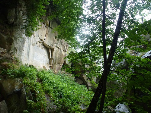 Dziurki