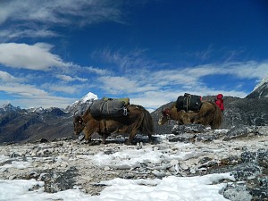 Zosia na Ama Dablam