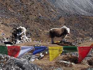 Zosia na Ama Dablam