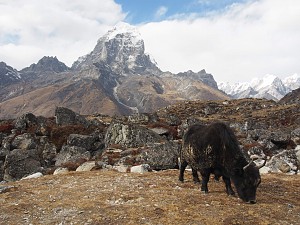 Zosia na Ama Dablam