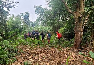 Mount Cameroon