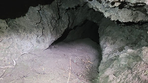 Mount Cameroon