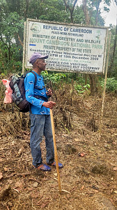 Mount Cameroon