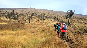 Mount Cameroon