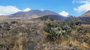 Mount Cameroon