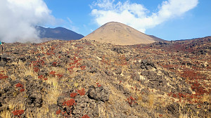 Mount Cameroon