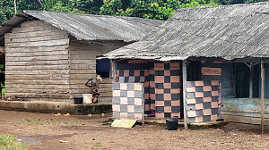 Mount Cameroon
