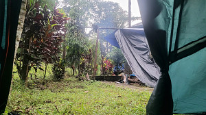 Mount Cameroon