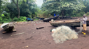 Mount Cameroon
