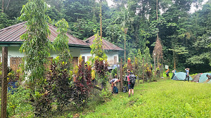 Mount Cameroon